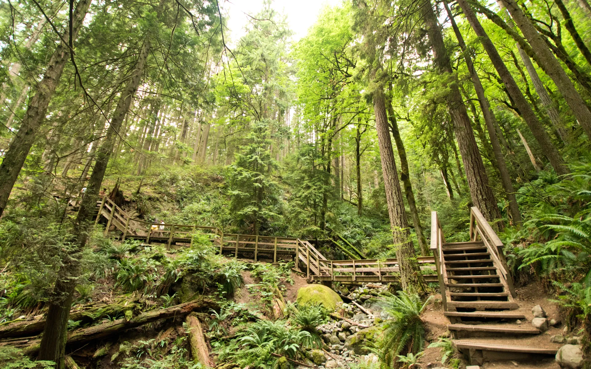 Grouse Grind, Vancouver, BC