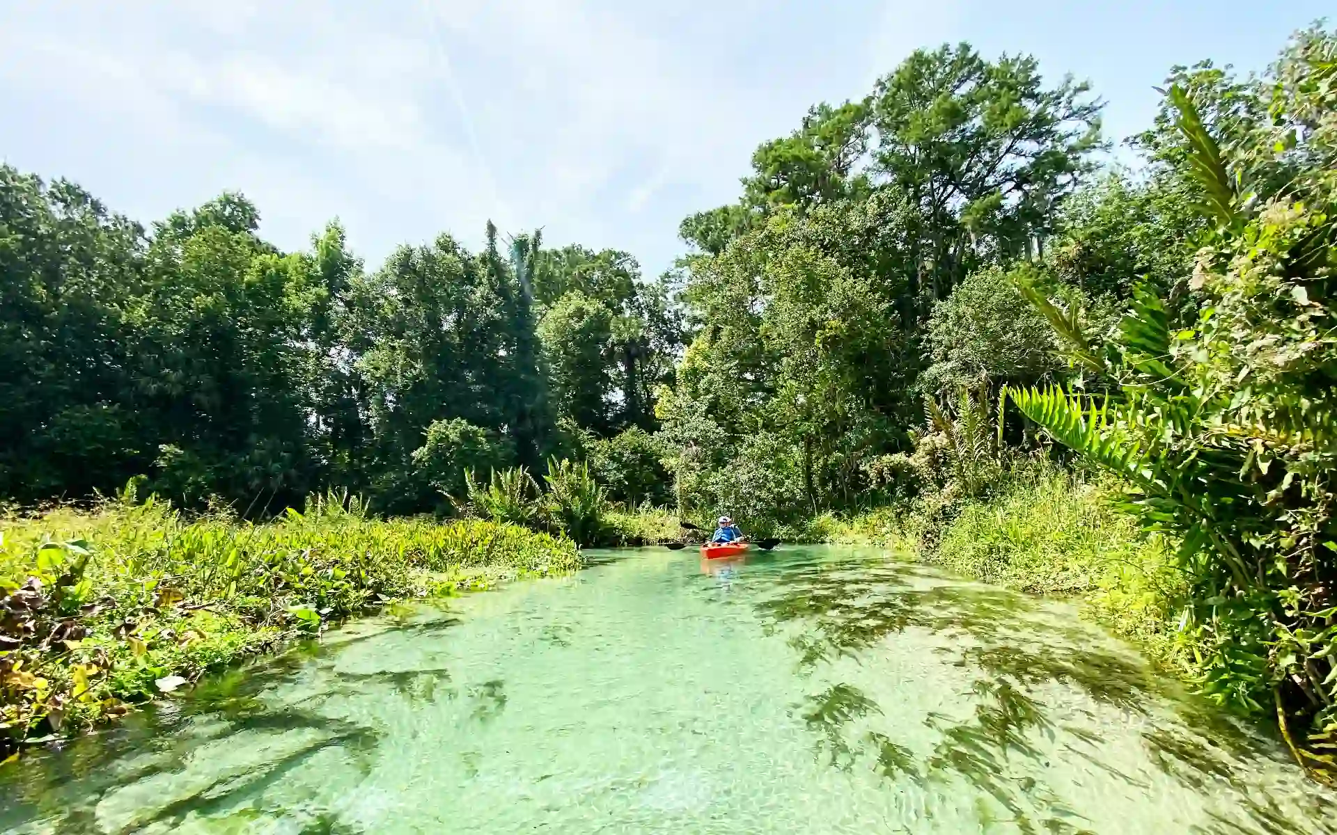 Kelly Park Rock Springs in Orlando