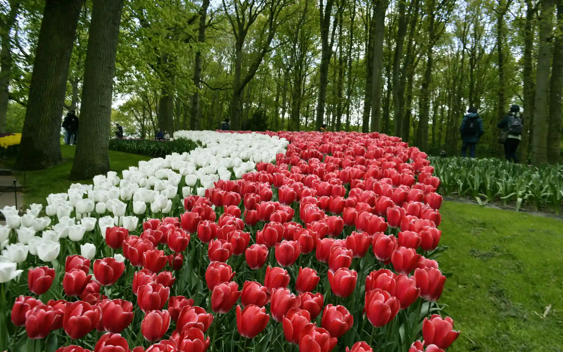 Keukenhof Gardens.webp