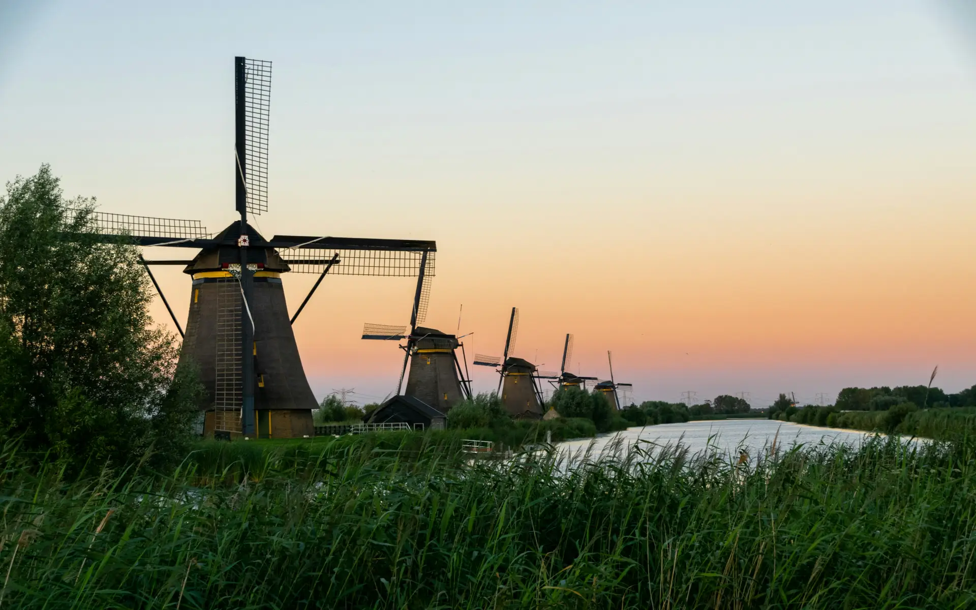 Kinderdijk.webp