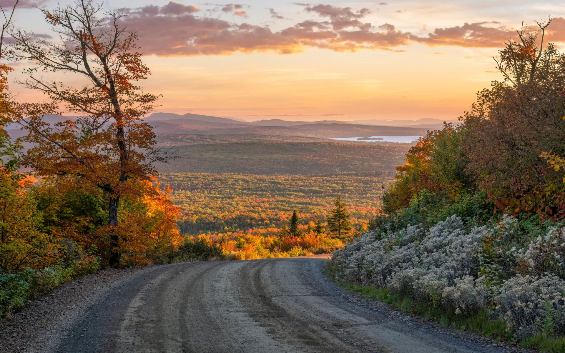 Maine fall foliage