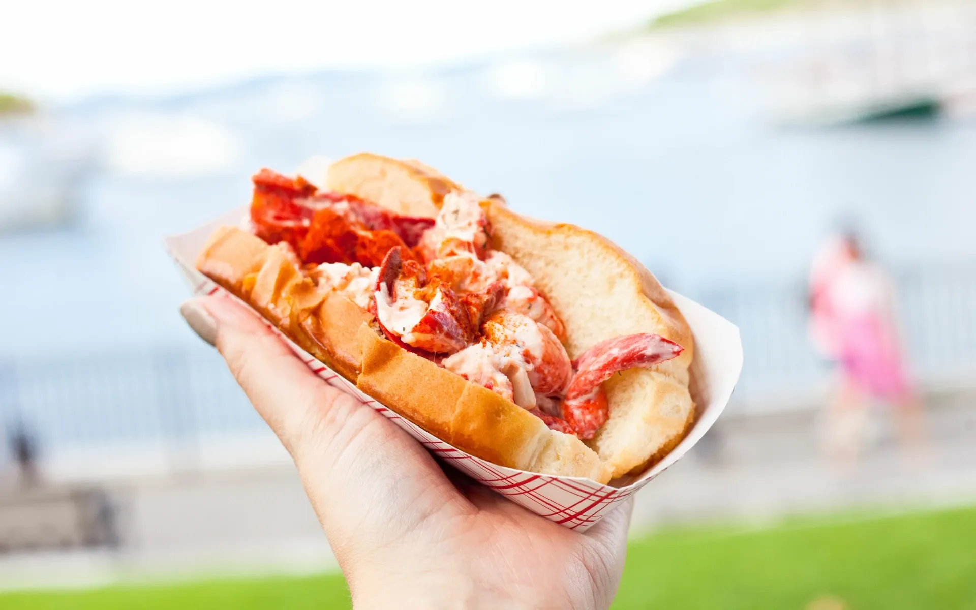 Maine lobster roll