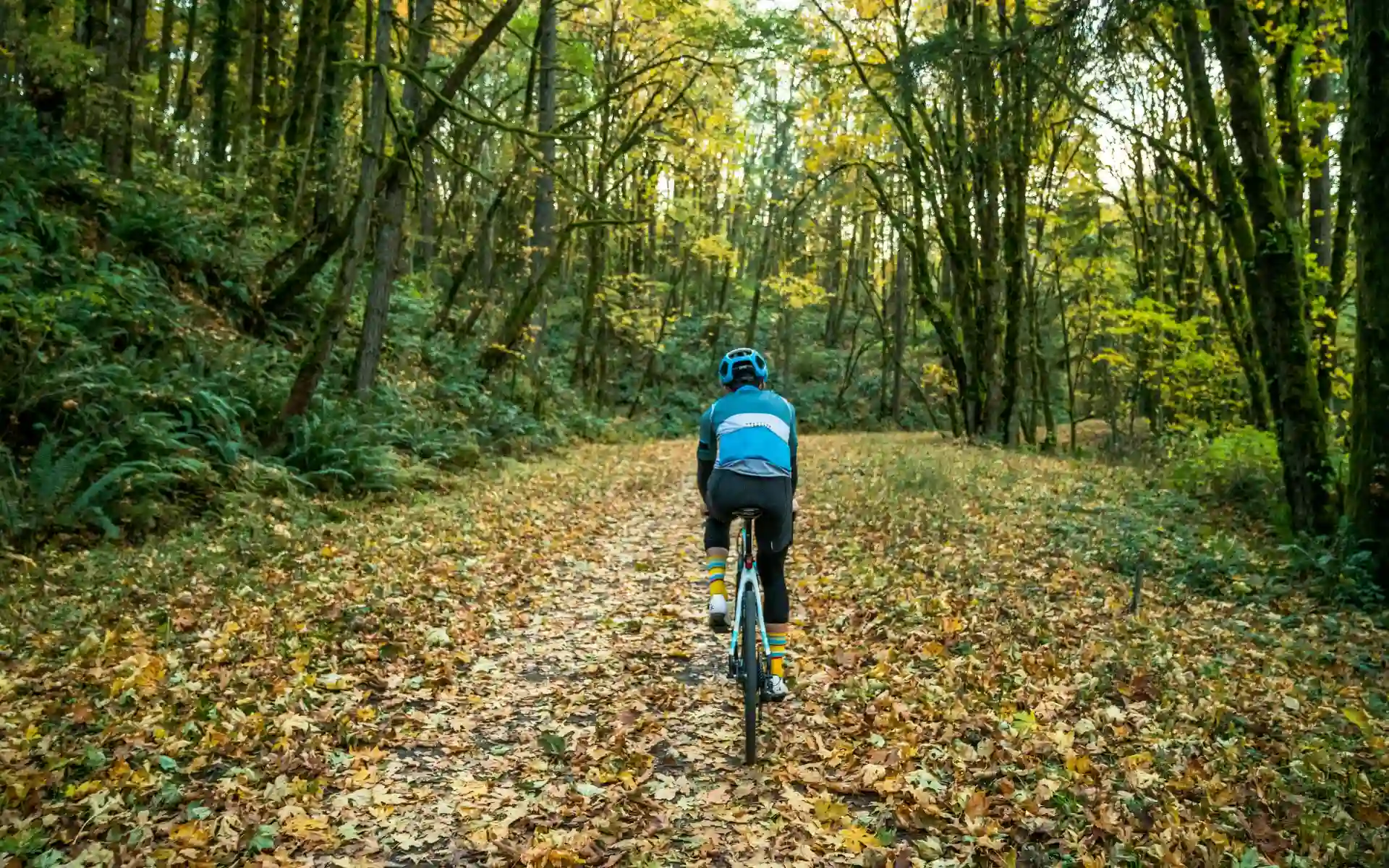 Man biking in Forest Park, Portland, Oregon