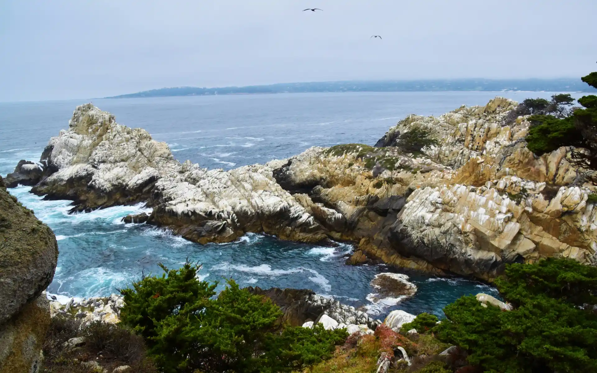 Point Lobos State Natural Reserve, California