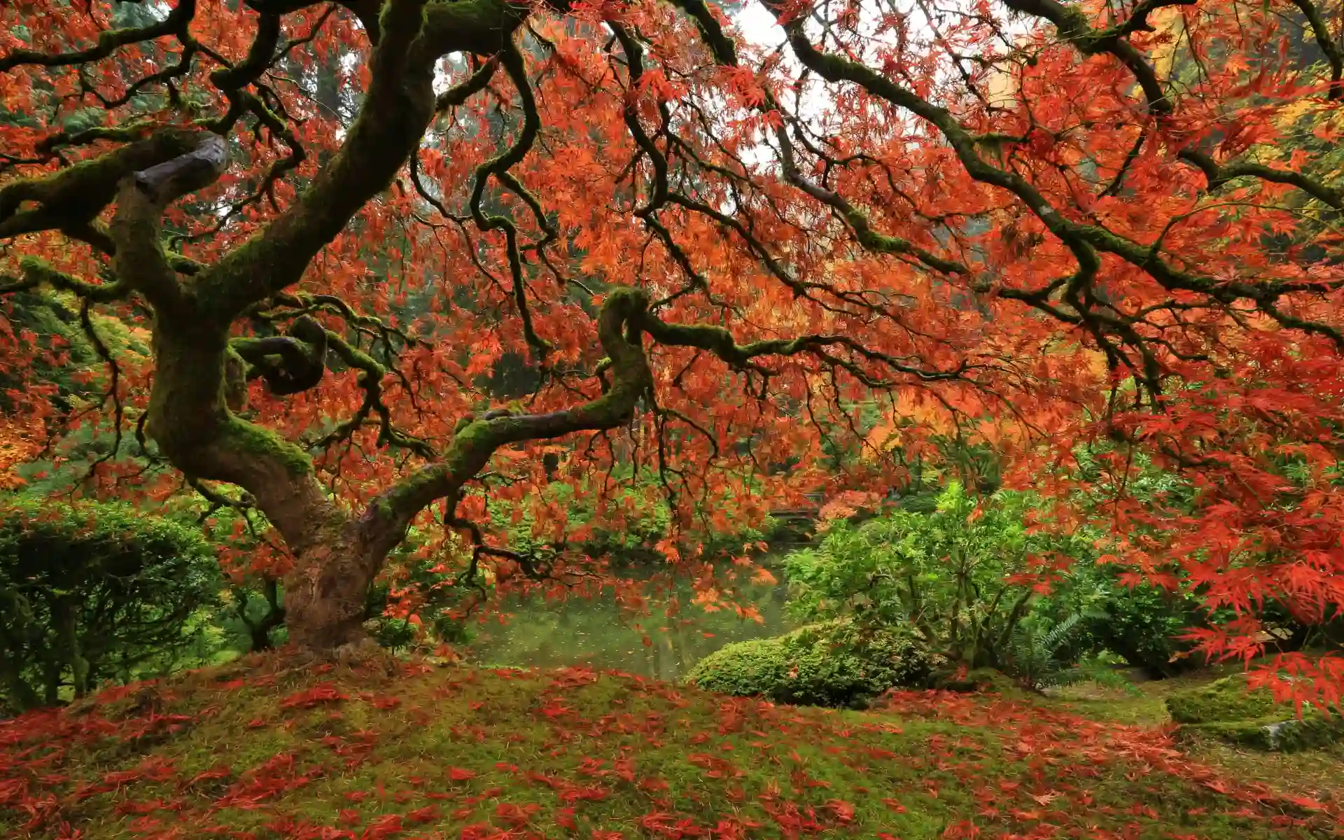 Portland Japanese Garden