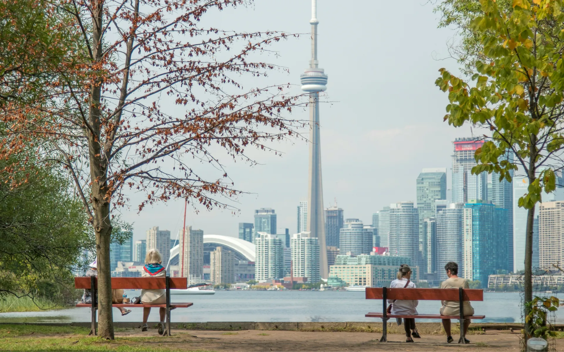Toronto skyline from park