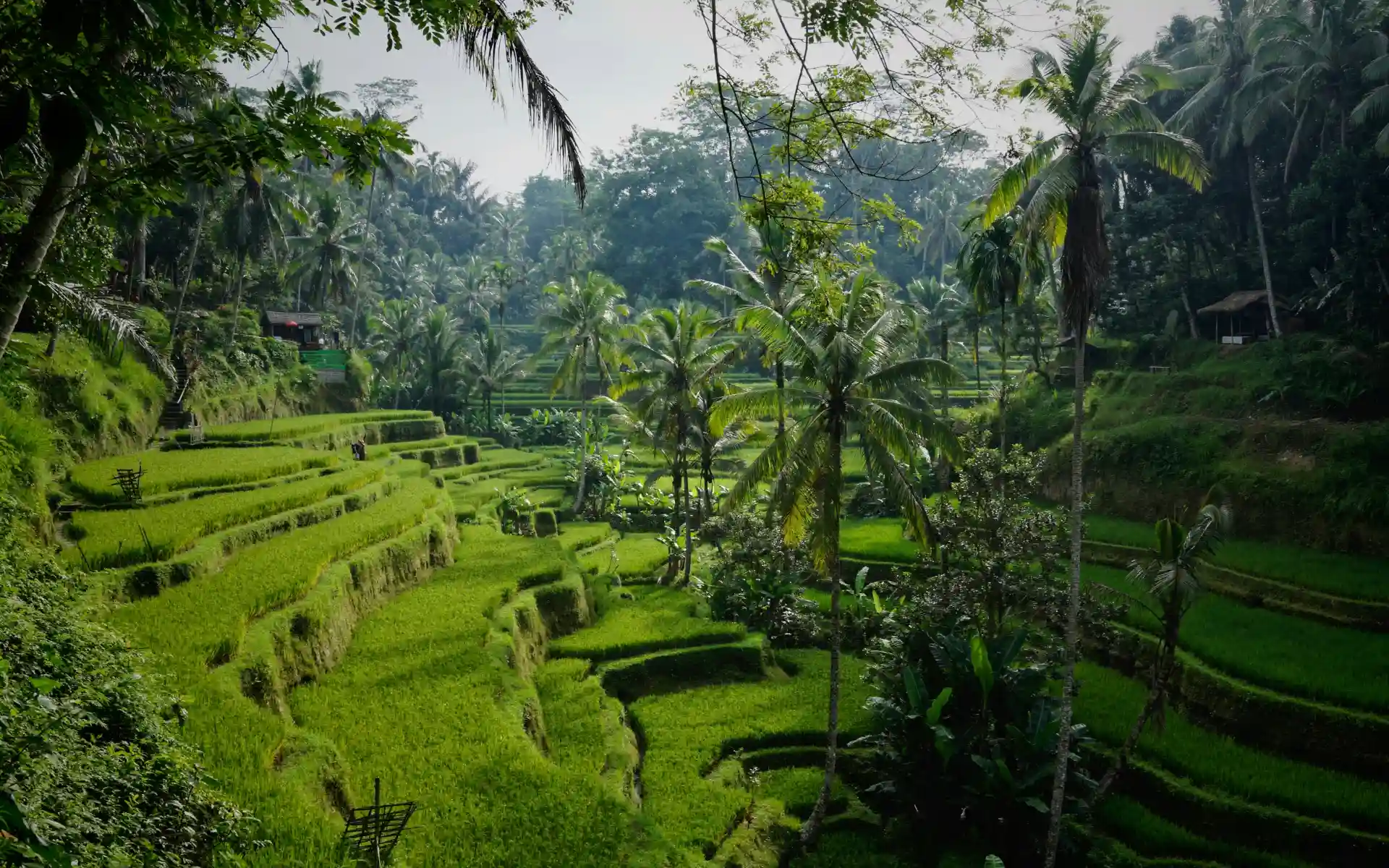 Ubud, Bali