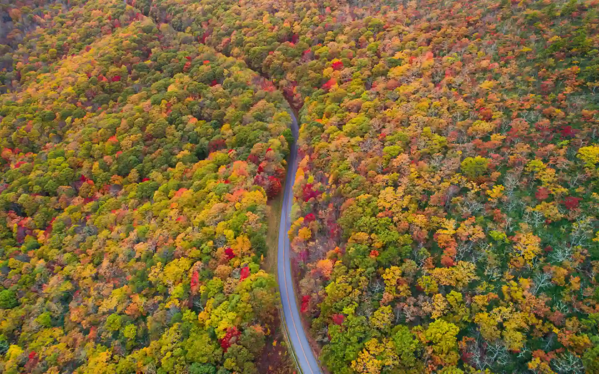 Blue Ridge Parkway