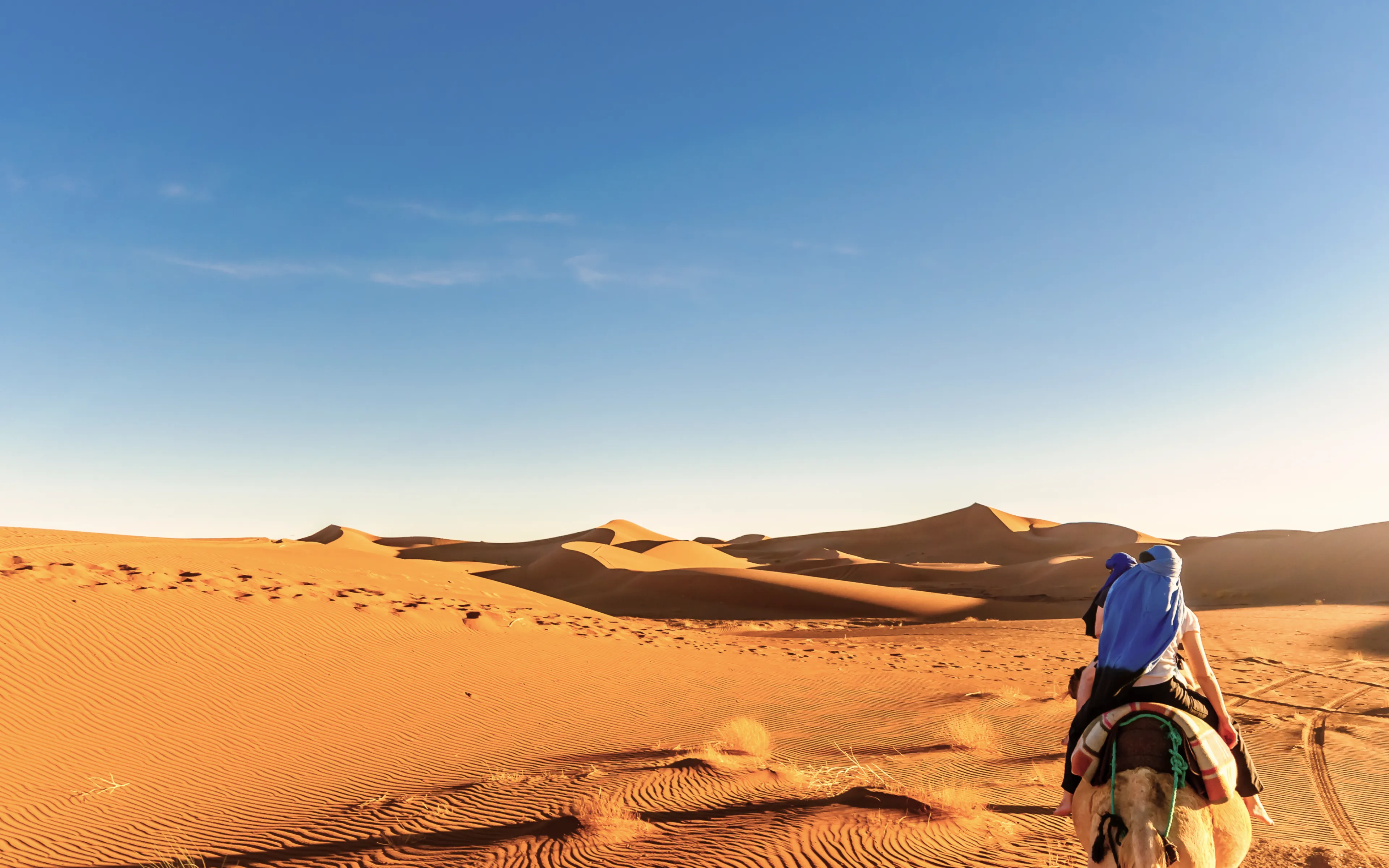 Riding camels through the Sarah Desert