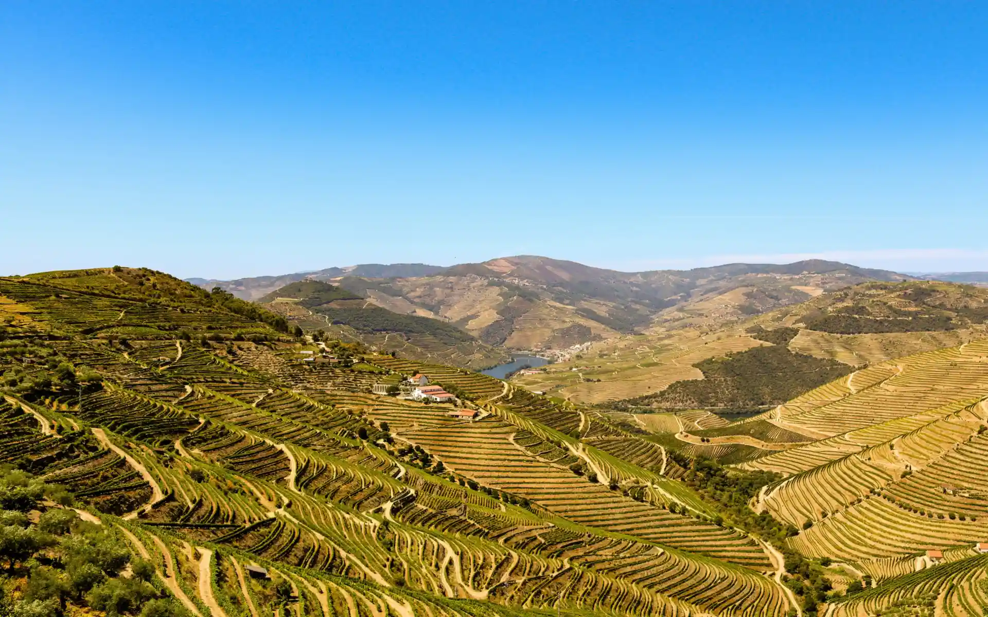 Douro Valley, Portugal