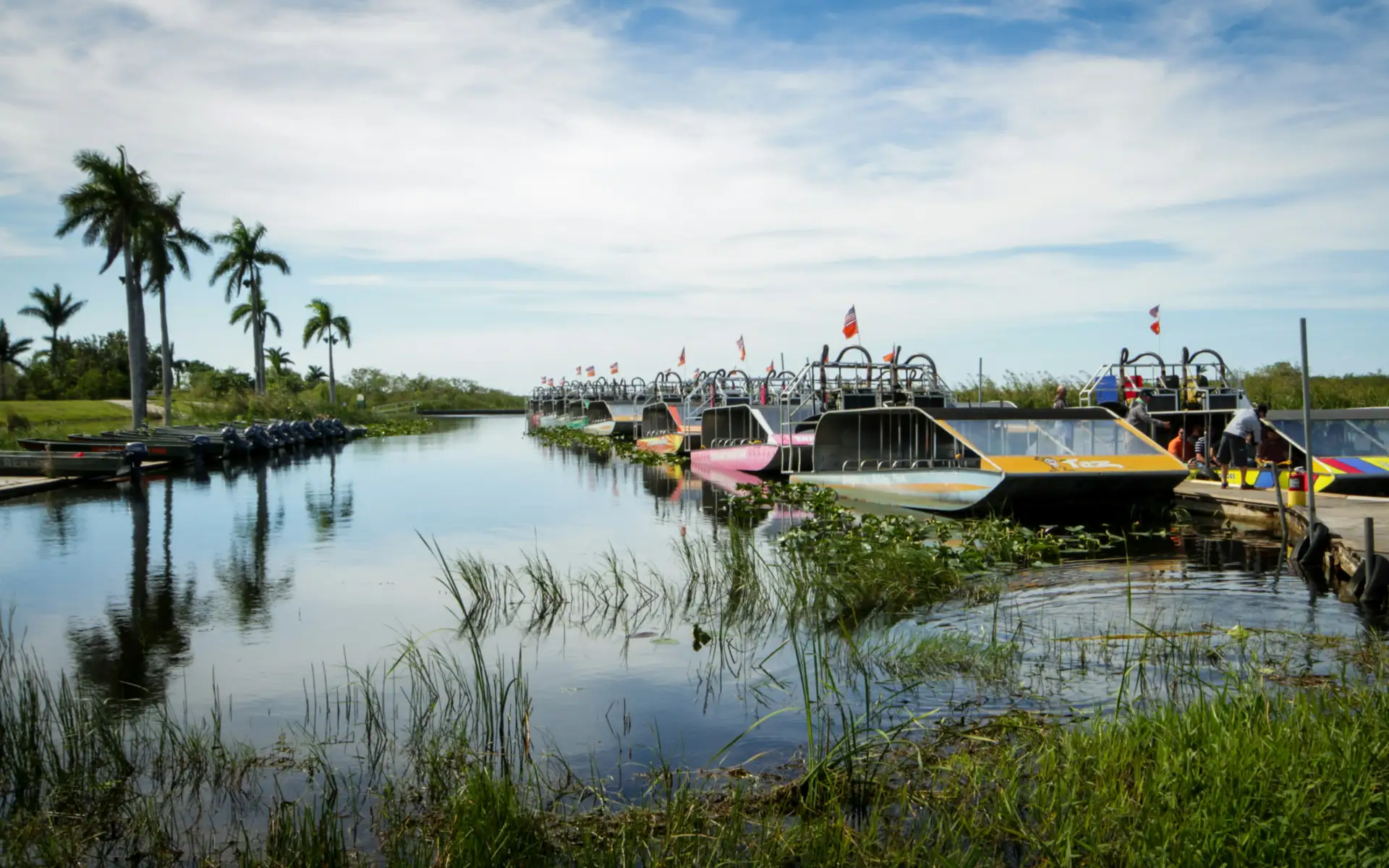 Everglades boat tour