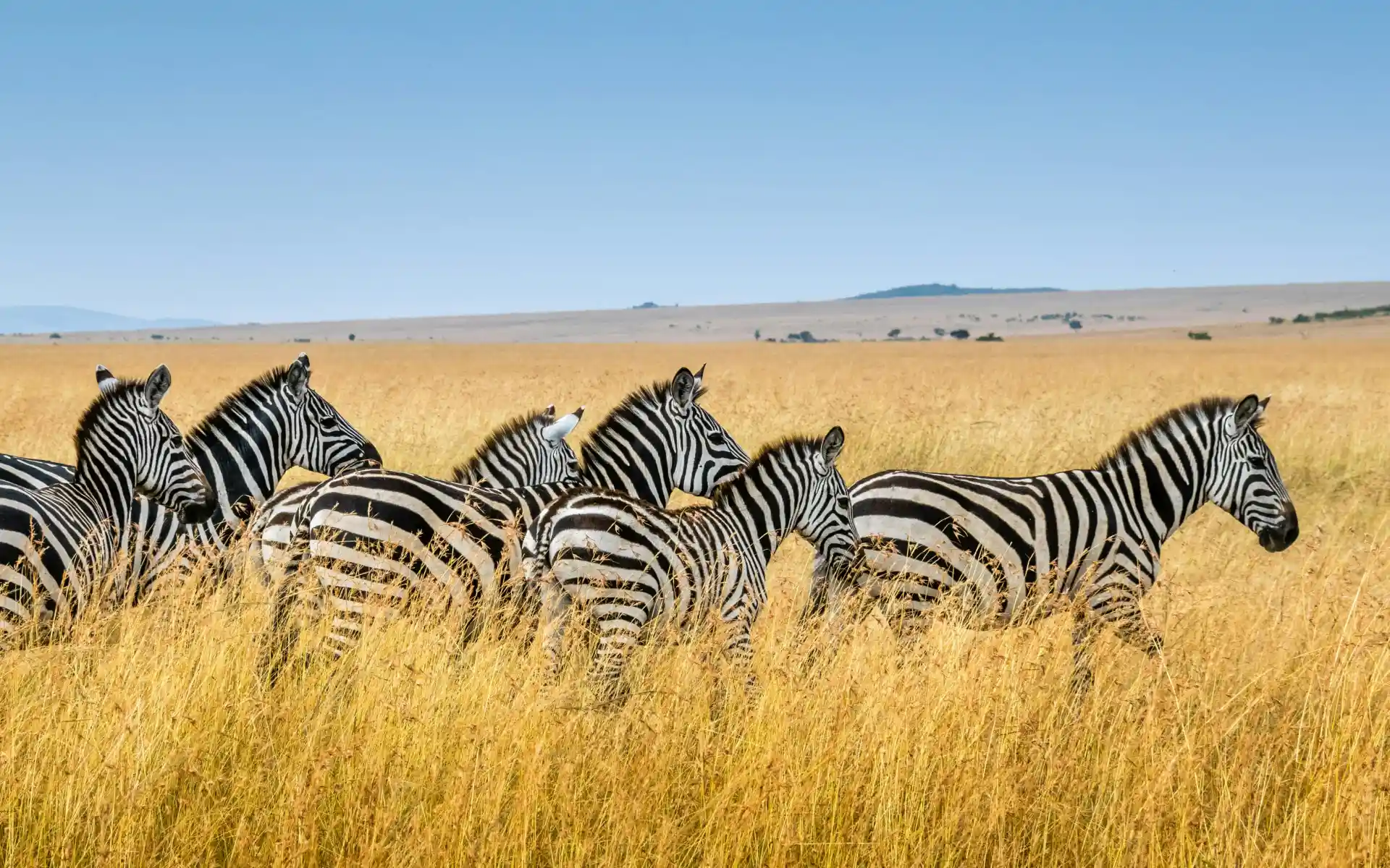 Kenya