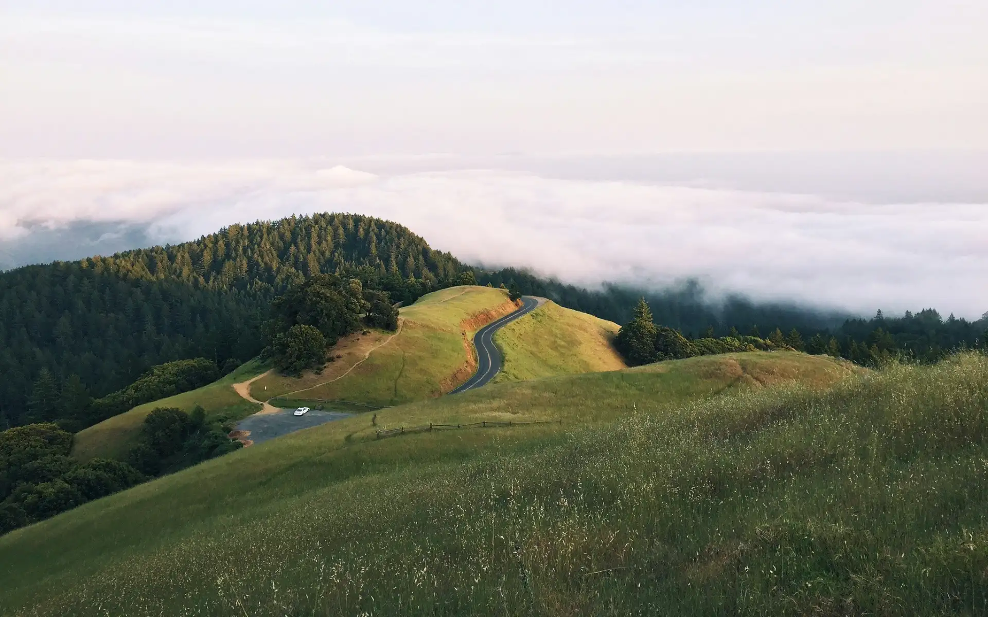 Mill Valley, California