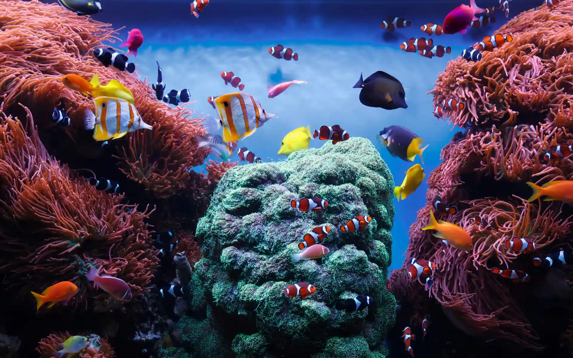 Monterey, California