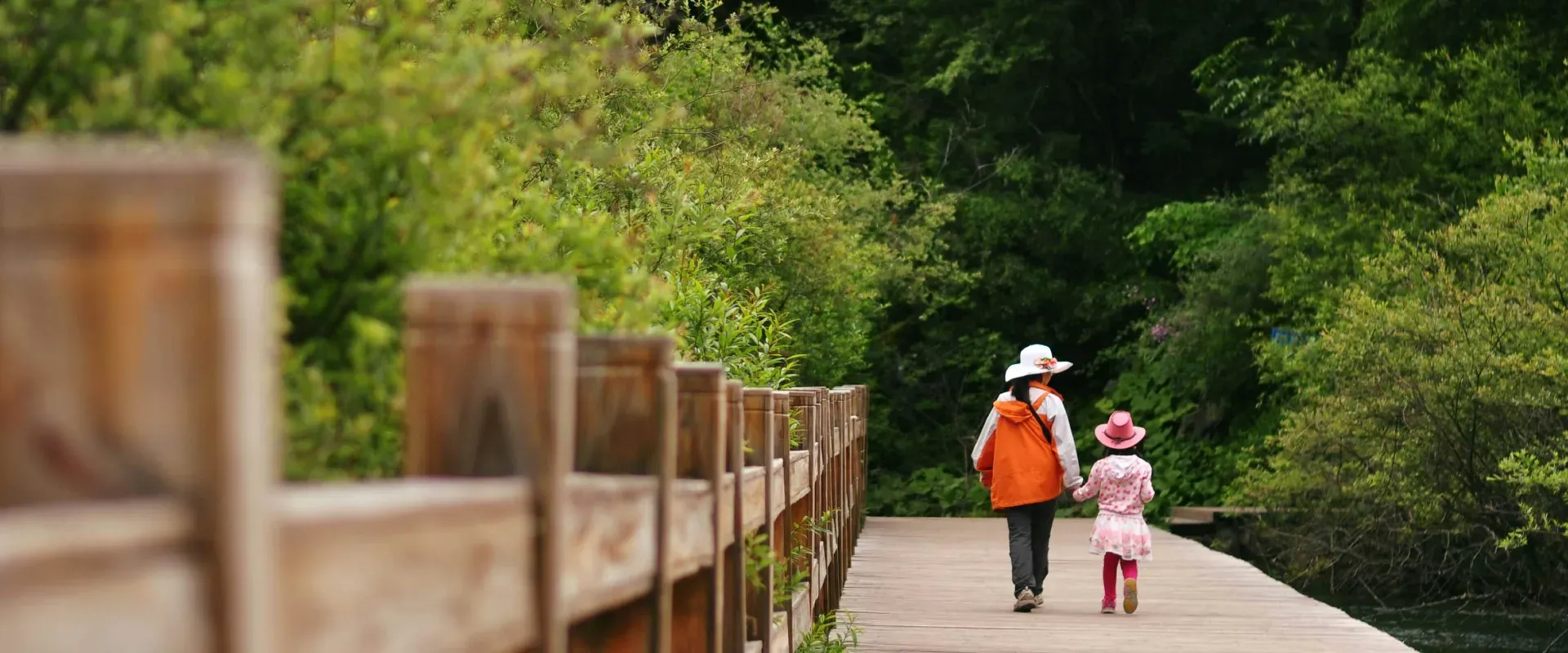 Best Places to Travel with Kids in 2025: Best Spots
