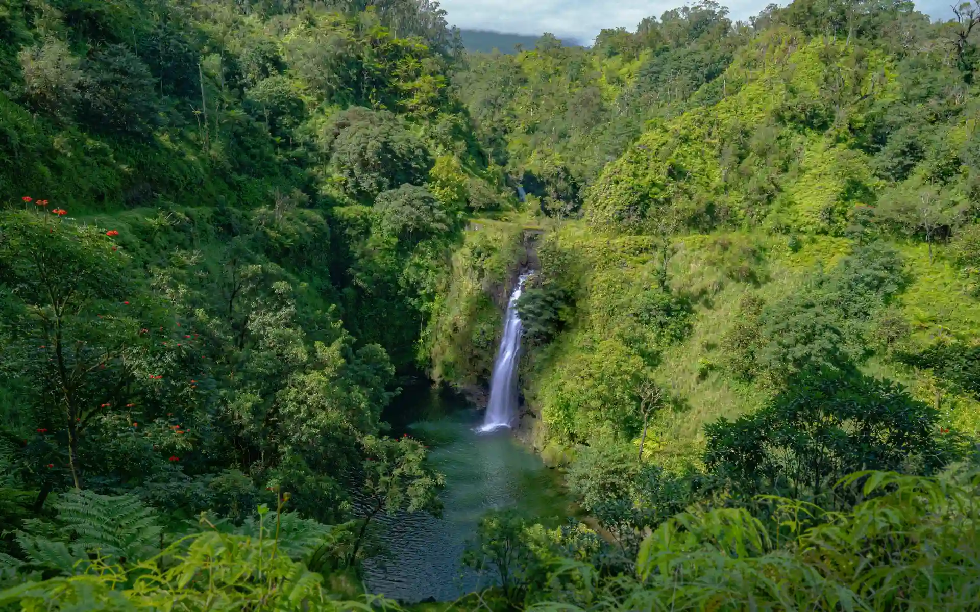 Road to Hana, Maui, Hawaii