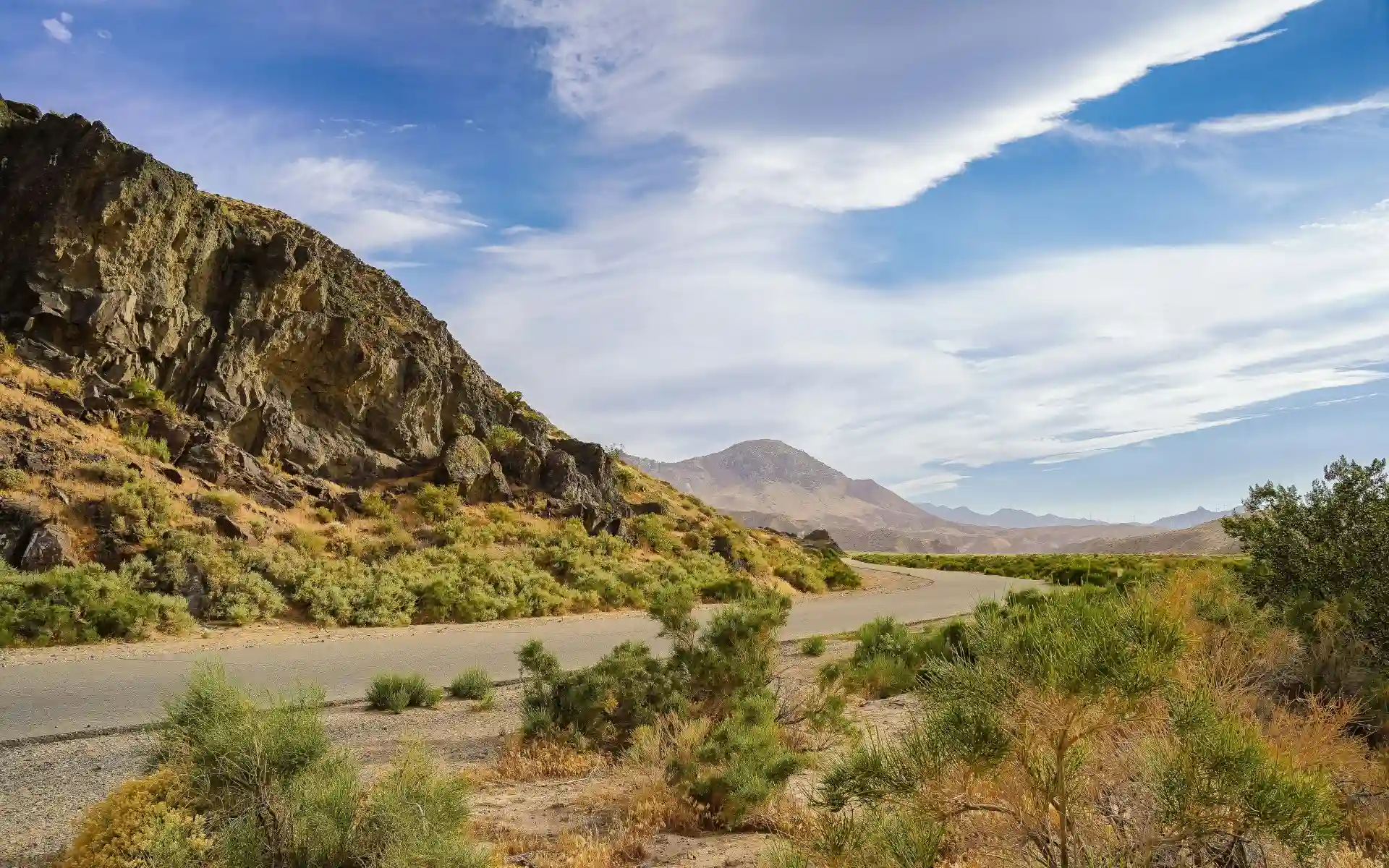 Mojave Desert