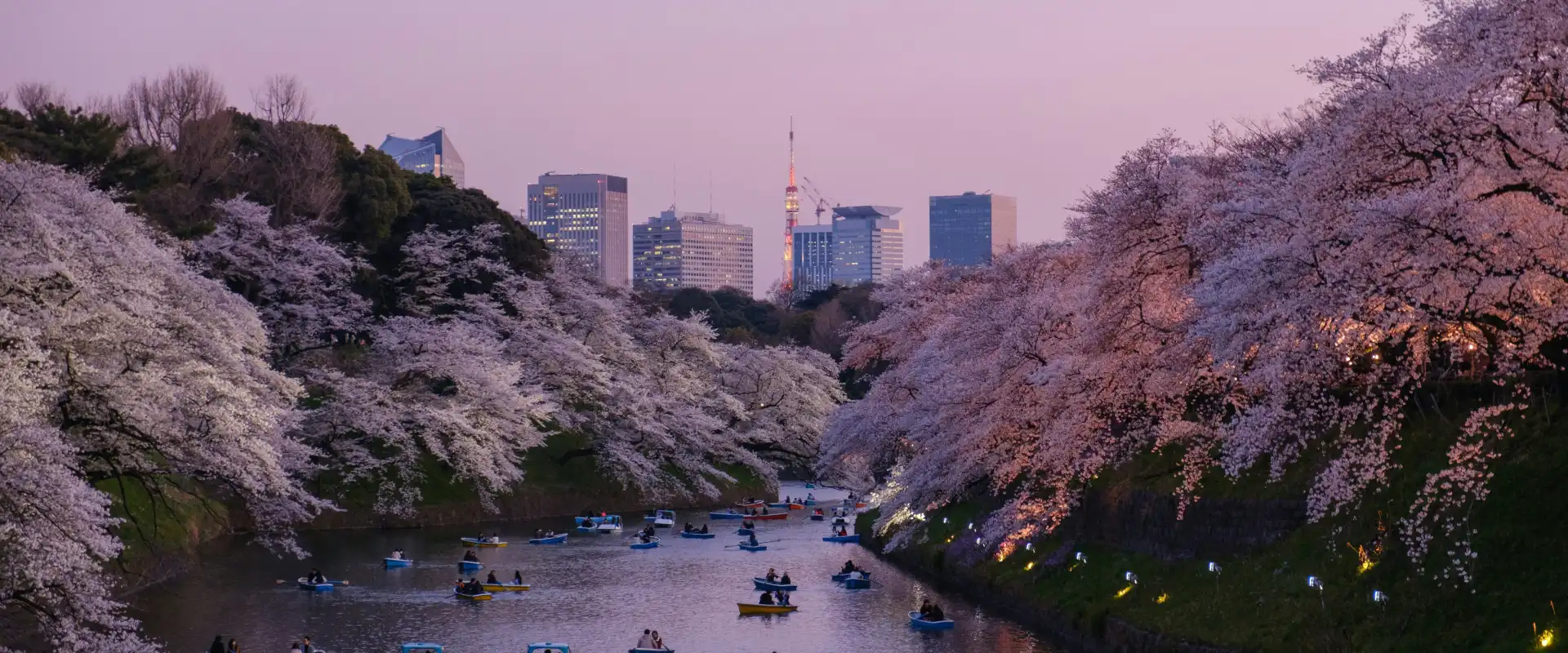 Best Places to Visit in March: US & Abroad (2026 Guide) - Going