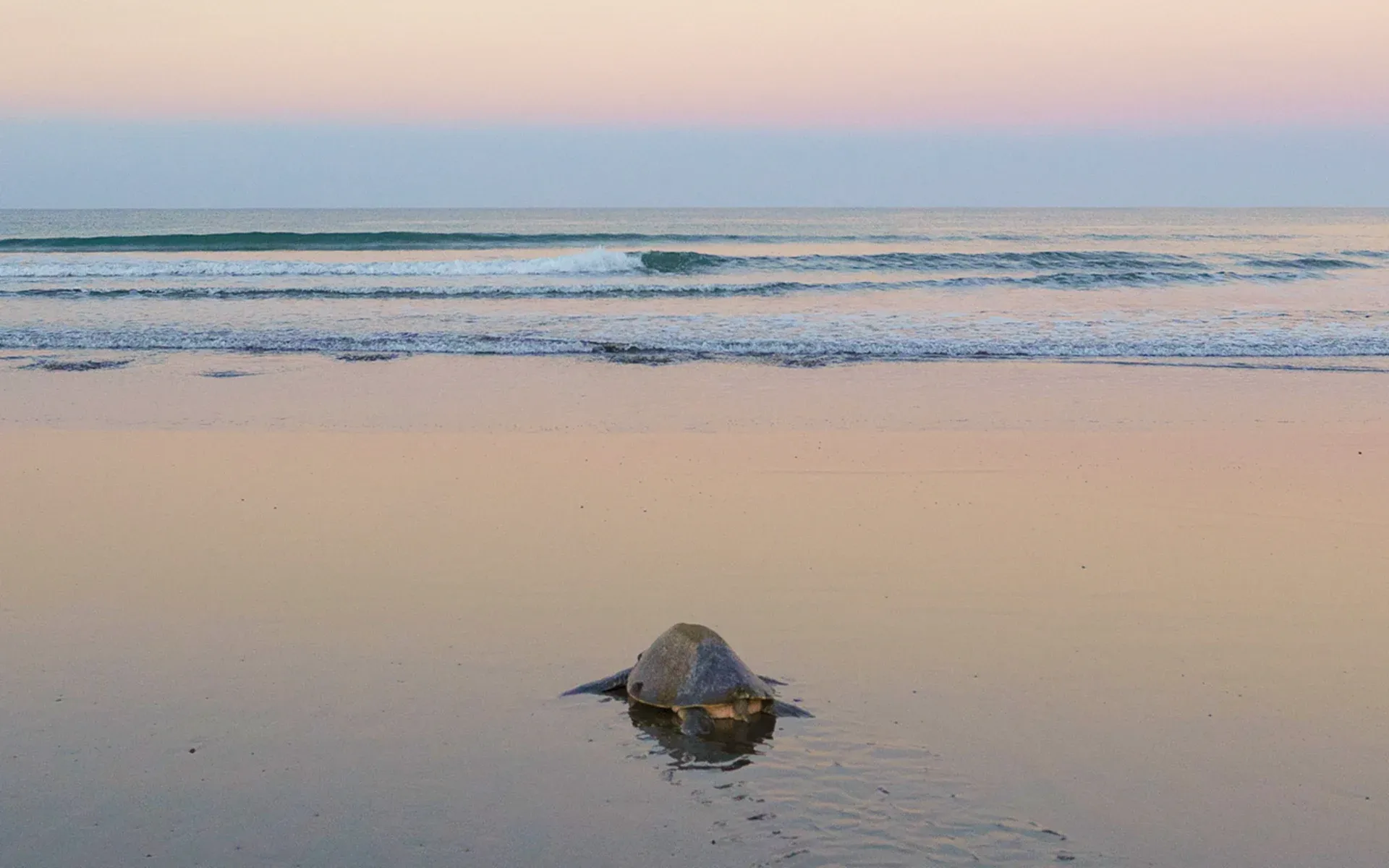 Tortuguero National Park, Costa Rica