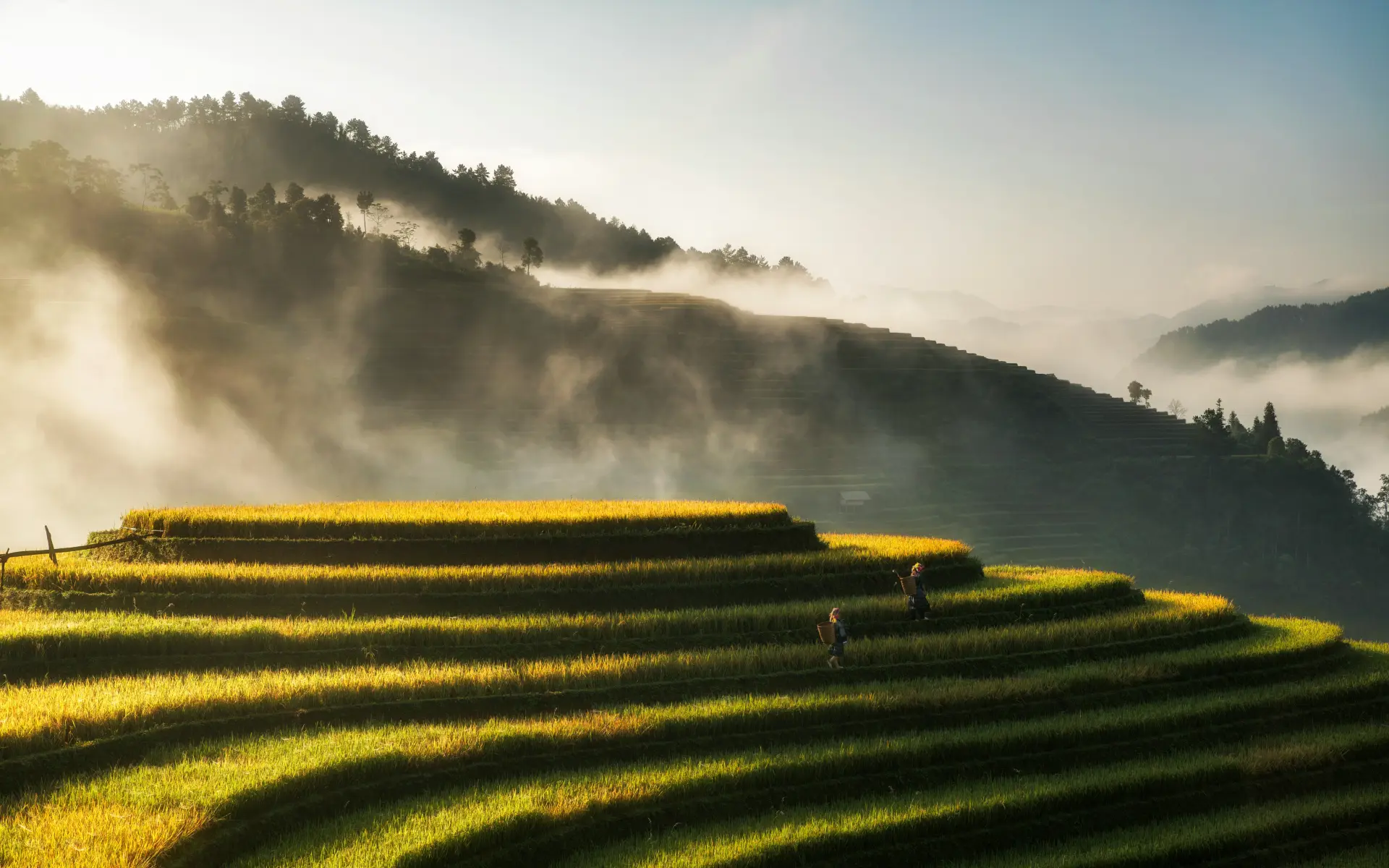 Vietnam