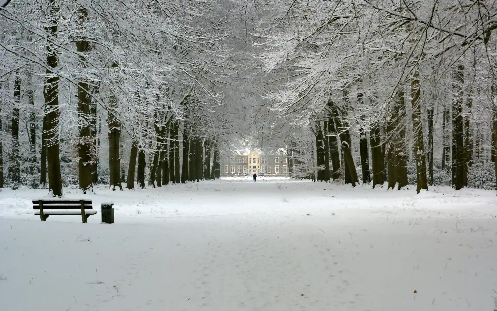 Winter in the Netherlands