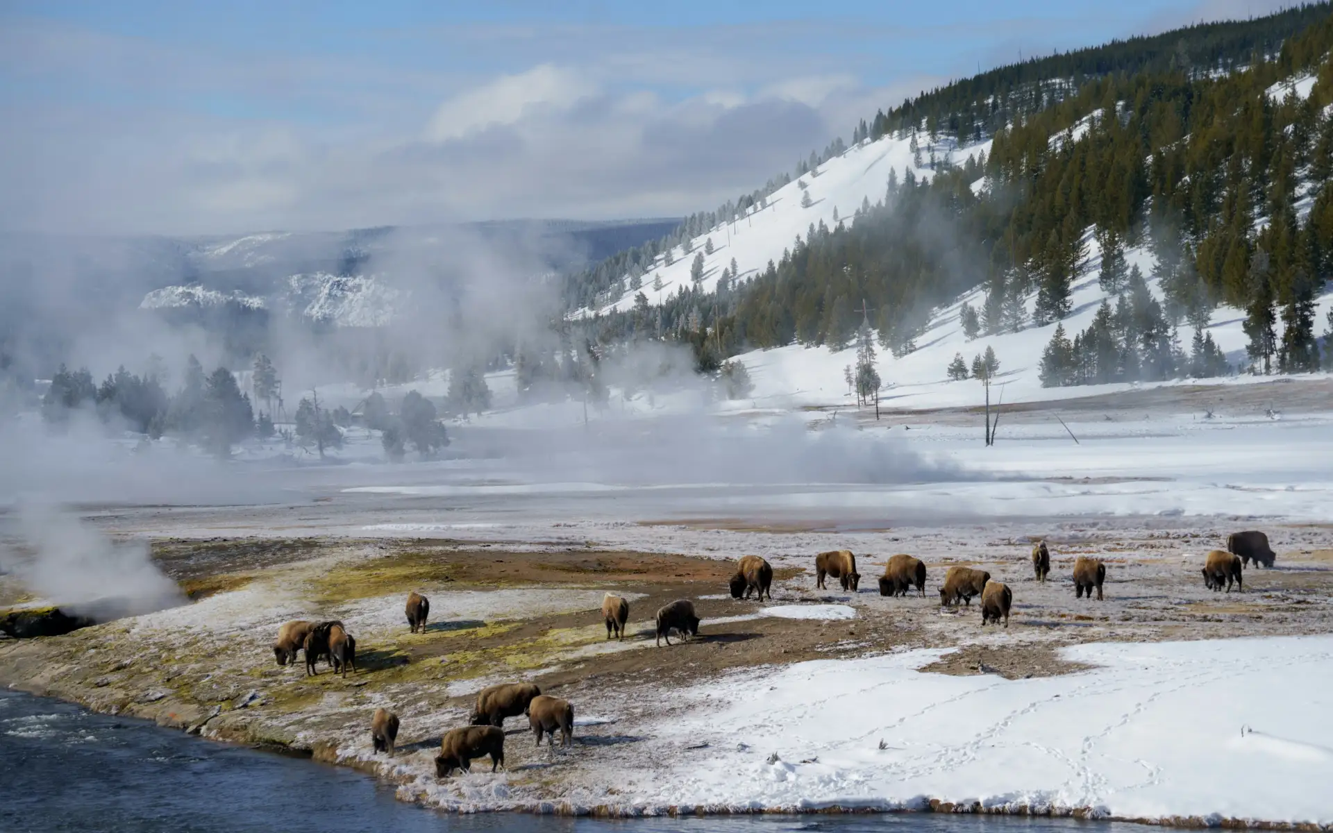 Yellowstone National Park